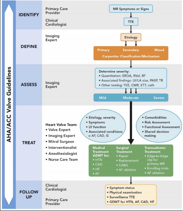 Clinical workflow for diagnosis and management of MR